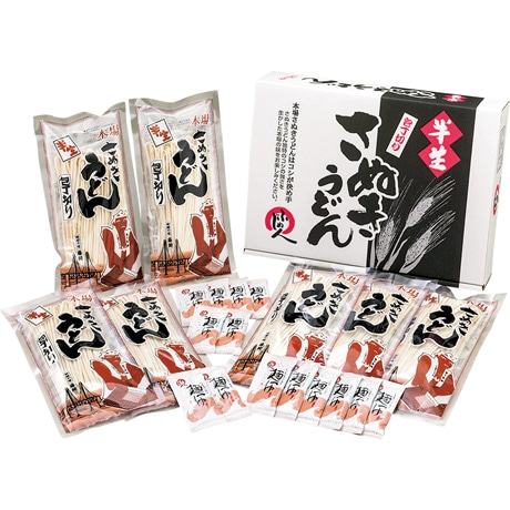 【ネット決済】藤井製麺 包丁切りさぬき半生うどん詰合せ JN-30S