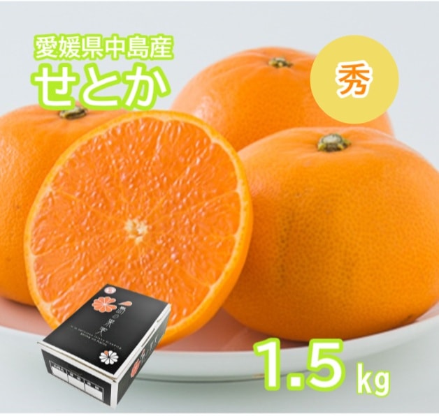 ◆【予約販売】2027年3月上旬より順次発送開始 愛媛県中島産 せとか 秀 3L-Lサイズ 1.5kg (フジアグリフ-ズ)(送料別)