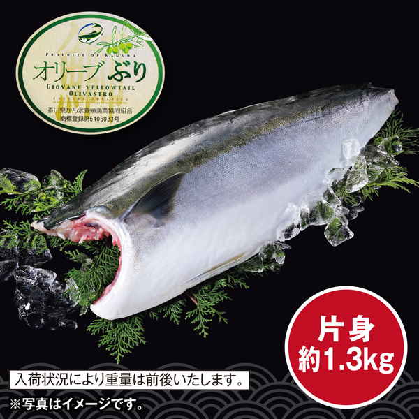 【ネット決済】香川県産「オリーブぶり」フィレ（養殖）「片身」