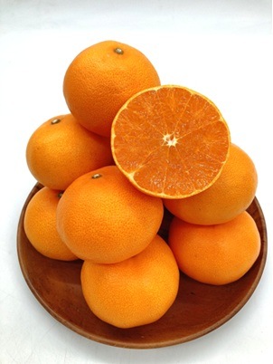 【期間限定販売】ＪＡえひめ中央　ご家庭用　せとか ○ ４Ｌ-L  5Kg（フジアグリフ－ズ）（送料別）