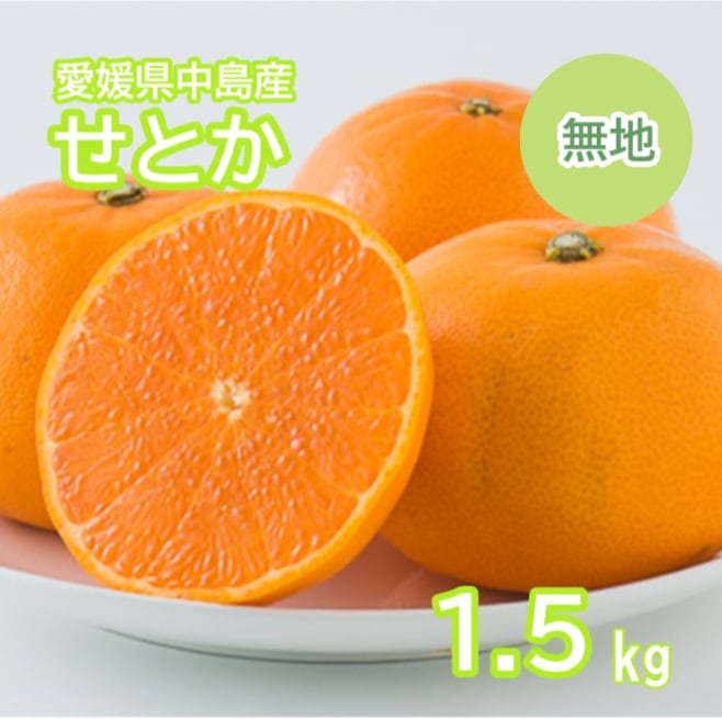 ◆【予約販売】2027年3月上旬より順次発送開始 愛媛県中島産 せとか 無地 3L-Lサイズ 1.5kg (フジアグリフ-ズ) (フジアグリフ-ズ)(送料別)