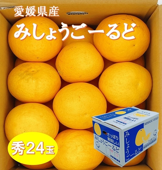 【産地取り寄せ商品】【予約販売】※4月2日より順次発送　愛媛県産 みしょうごーるど 秀２４玉 |  オレンジ 愛媛県産 愛媛（送料別）