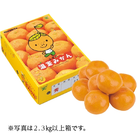 【店頭決済】高知県産（JA高知県） 山北ハウスみかん S～M・1kg以上
