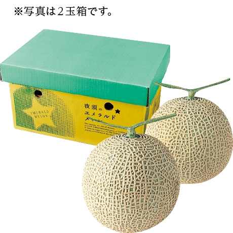 【店頭決済】高知県産（JA高知県） エメラルドメロン 1玉