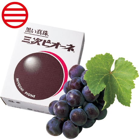 【店頭決済】広島県産（三次ピオーネ生産組合） 「黒い真珠」三次ピオーネ 380g以上×2房