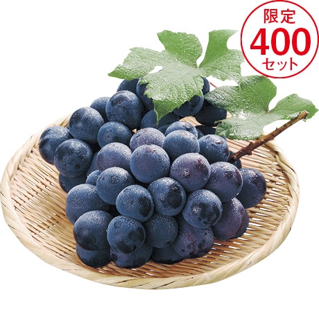【ネット決済】【マル得】岡山県産 ニューピオーネ 450g以上×2房