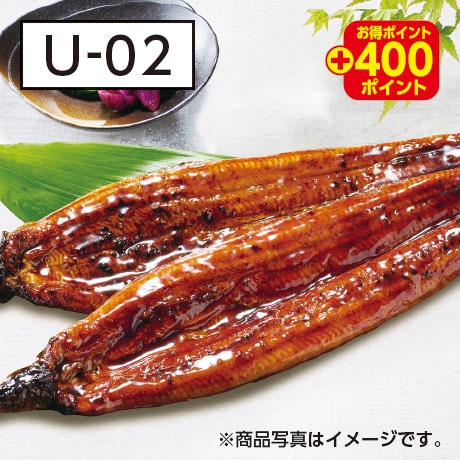 うなぎページ 特集】フジのうなぎ | フジネットショップ