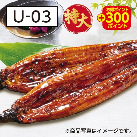 特集】フジのうなぎ | フジネットショップ