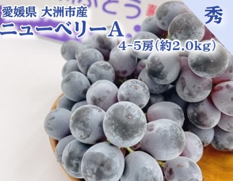 【限定クーポン対象商品】◆【産地取り寄せ商品】ニューベリーA 秀品 4-5房 愛媛県大洲市産(フジアグリフ－ズ)（送料別）