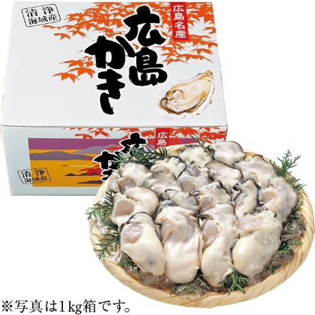 【店頭決済】広島県大柿産 生食用生かきむき身 1kg