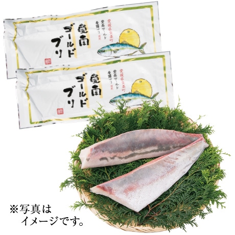 【ネット決済】愛媛県産 愛南ゴールド鰤
