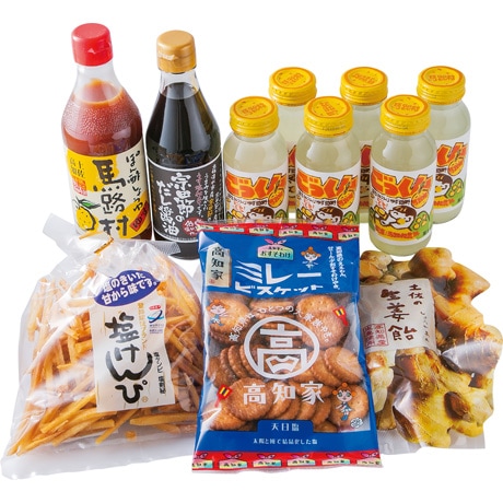 【ネット決済】高知県特産品販売 土佐のバラエティ詰合せ（冬）