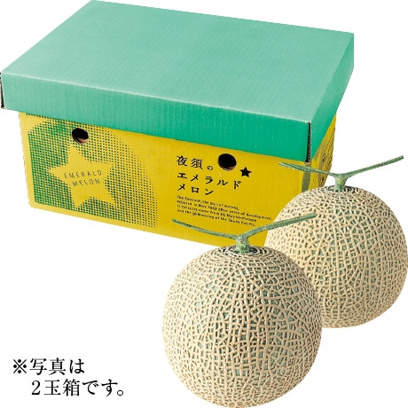 【ネット決済】高知県産（JA高知県） 夜須エメラルドメロン 2玉