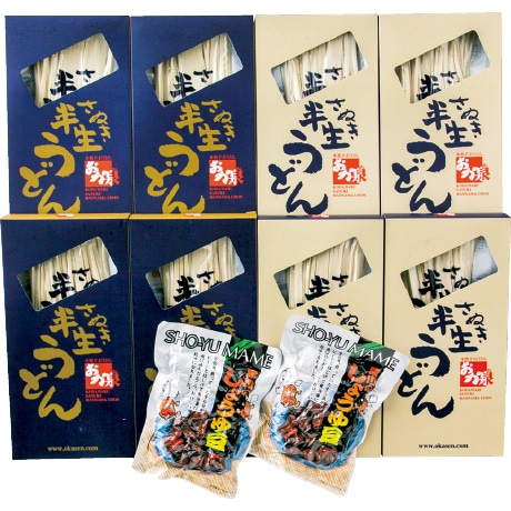 【ネット決済】おか泉 さぬき半生うどん（めんつゆ、しょうゆ豆付） T-4A8