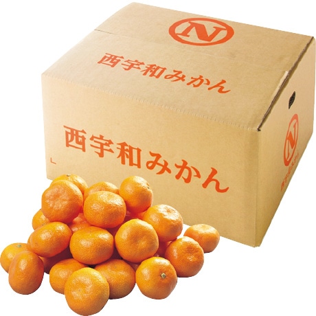 【ネット決済】愛媛県産（JAにしうわ日の丸共選） 日の丸みかん M～L・10kg