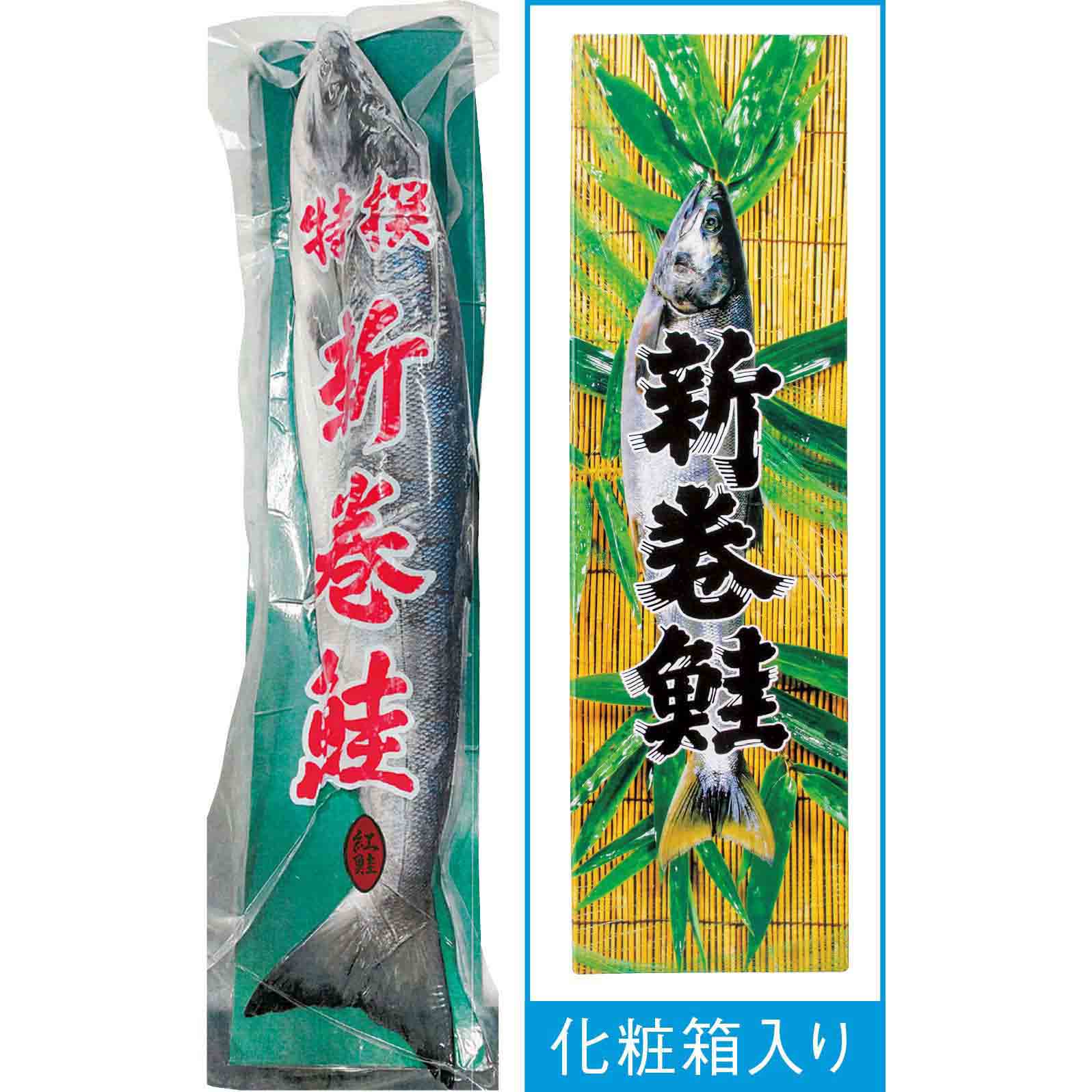 【ネット決済】ロシア産 新巻鮭(紅鮭姿)化粧箱入り
