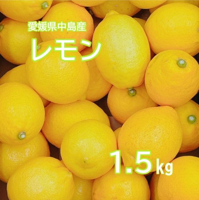 ◆【予約販売】11月上旬より順次発送開始　愛媛県中島産 レモン 2L-M サイズ 1.5ｋｇ (フジアグリフ－ズ)（送料別）