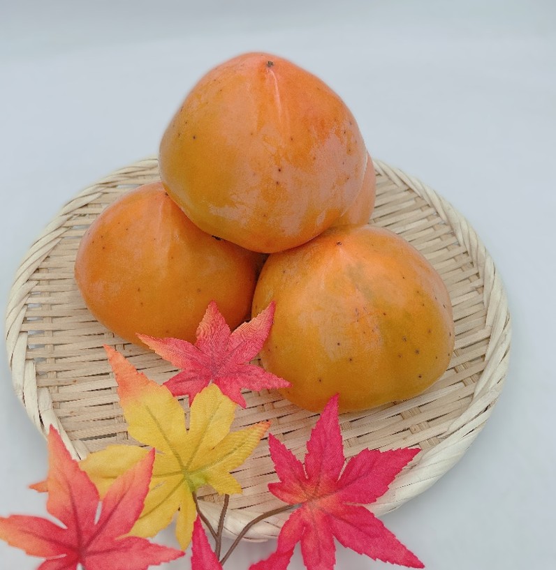 産地取り寄せ商品】愛媛県産（JAにしうわ）富士柿 優 5-6玉