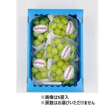 シヤインマスカット家庭用完熟多め入り5キロパック入り 産地取り寄せ商品】【予約販売】※8月20日より順次発送開始 シャイン