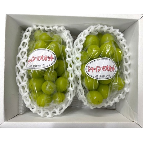 産地取り寄せ商品】【予約販売】※8月20日より順次発送開始 シャイン