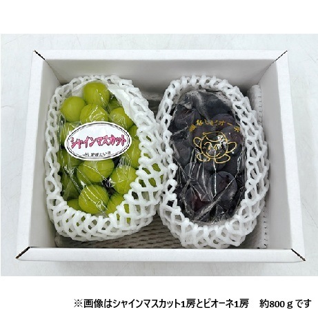 産地取り寄せ商品】【予約販売】※8月20日より順次発送開始 シャイン