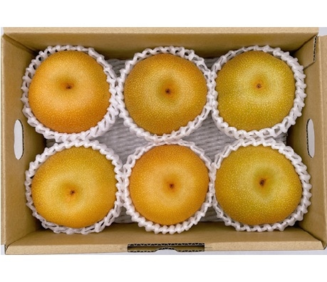 南梨さん専用 ◇【産地取り寄せ商品】【予約販売】※8月20日頃より順次発送開始 徳島