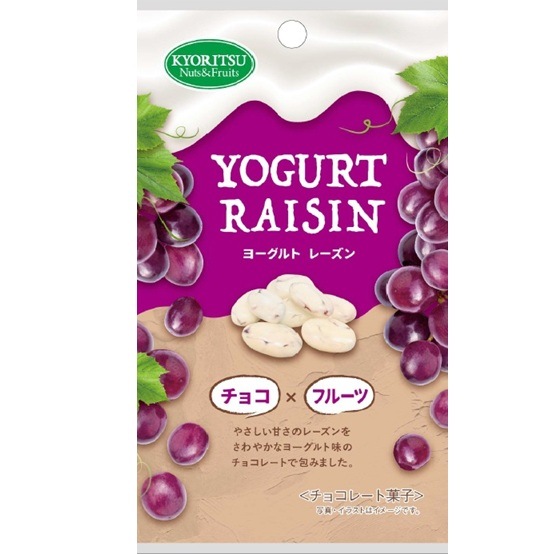 共立 ヨーグルトレーズン 40g まとめ買い(×6)|4901325404282(dc