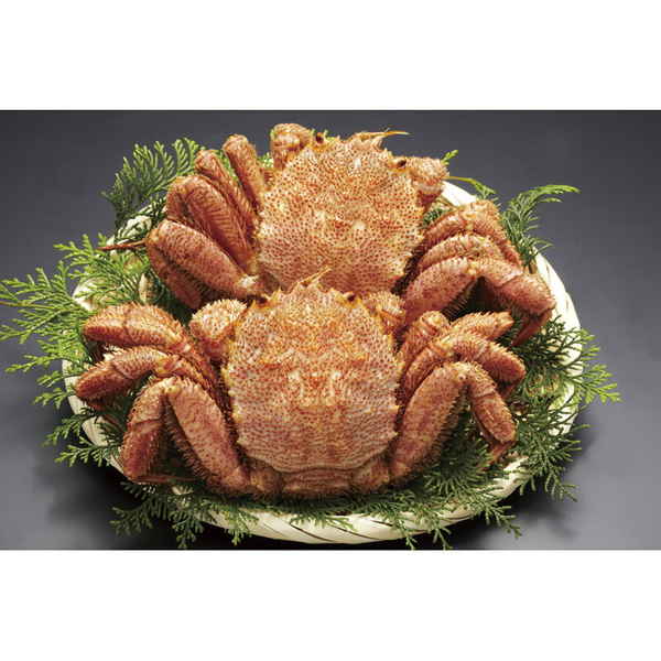 北海道産ボイル毛がに320g×2尾 320*2 | お祝い・内祝い・お返しギフト