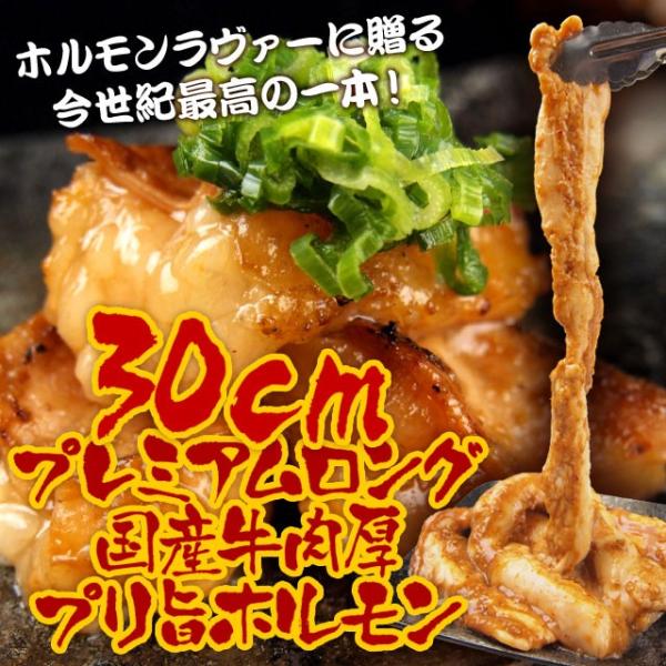 ロングカット国産牛小腸！肉厚プリ旨 味噌漬ホルモン 500g 約2-3人前