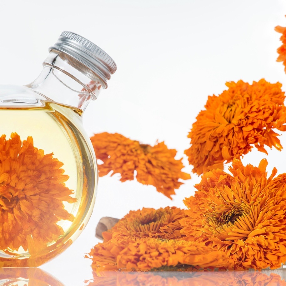 ●オイルカレンドラミニ