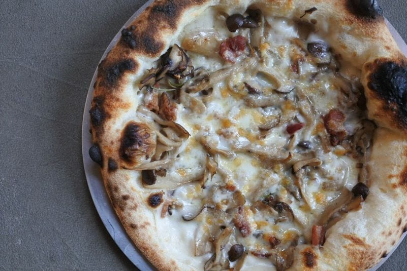 【11月限定】4種きのこのホワイトソース