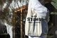 【送料無料】ORIGINAL TOTE BAG