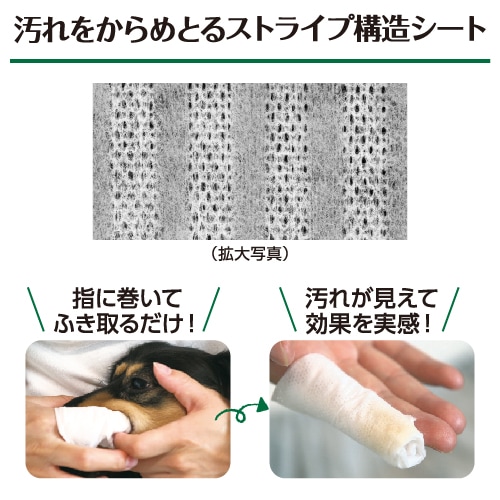 Lion Petkiss 歯みがきシート アップルの香り 30枚 犬用商品 犬用品 ケア用品 オーラルケア ディスワン小牧店オンラインストア