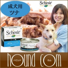 Schesir（シシア）/ドッグ ゼリータイプ ツナ缶｜ドックフードの通販
