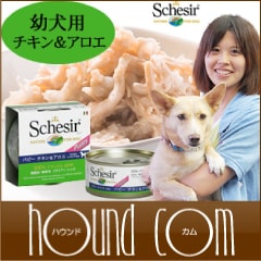Schesir（シシア）/ドッグ　ゼリータイプ　チキンフィレ＆アロエ缶　150g|缶詰・レトルトフード|ドッグフード