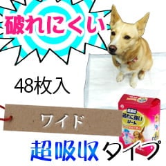 ˤˤڥåȥġĶۼס磻ɥ48