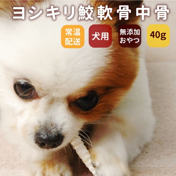 ���Ѥ���ġ�̵ź�óͤ줿�� �襷���껭������40g��a0134��