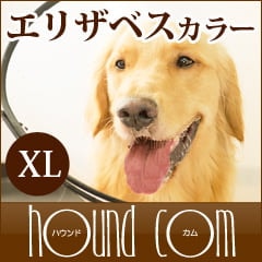 ꥶ٥顼ʥ٥åȥ顼ˡXL