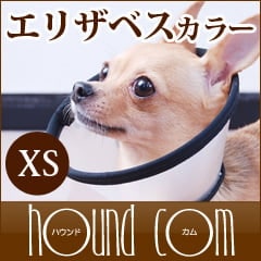 ꥶ٥顼ʥ٥åȥ顼ˡXS