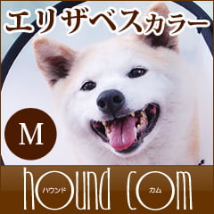 ꥶ٥顼ʥ٥åȥ顼ˡM