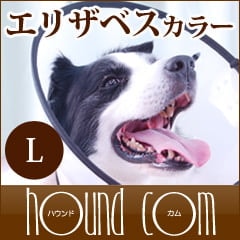 ꥶ٥顼ʥ٥åȥ顼ˡL