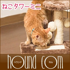 ����åȥ���åͥ�����ߥ� ���������֥饦��/�ԥ�/�١�����