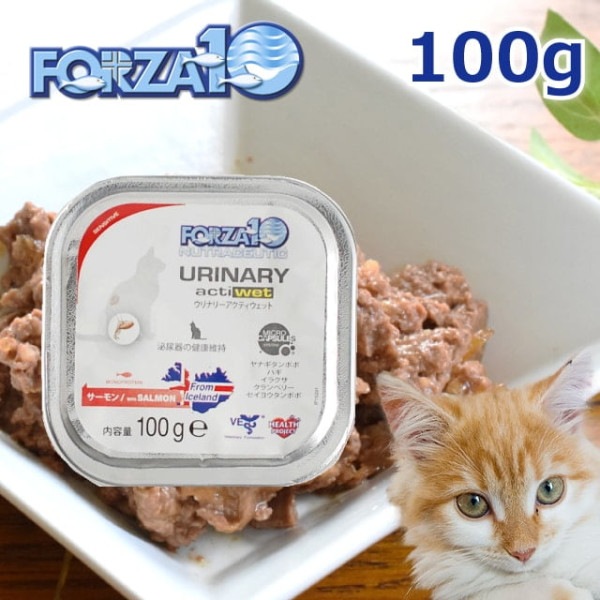 FORZA10｜ウリナリーアクティウェット(泌尿器ケア)　100g×12缶セット　猫缶　キャットフード|缶詰・レトルトフード|キャットフード