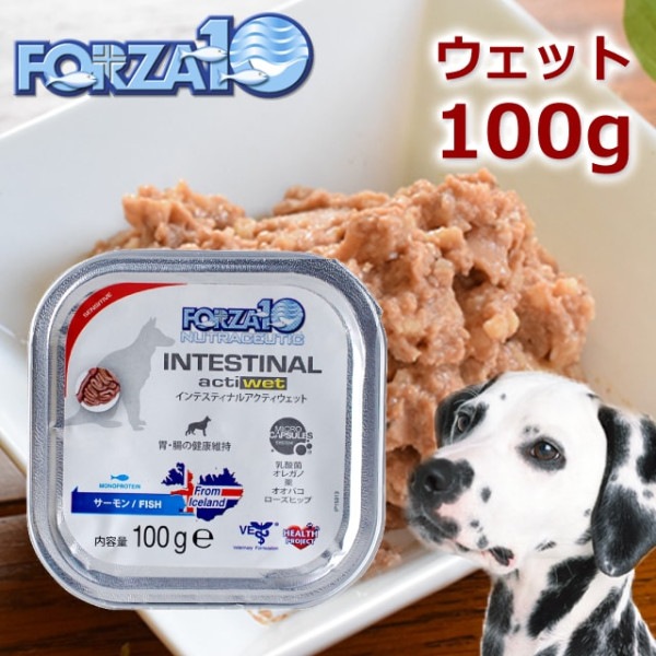 FORZA10療法食｜犬用インテスティナルアクティウェット(胃腸ケア)　100g×12缶セット　(フォルツァディエチ)【a0347】|缶詰・レトルトフード|ドッグフード