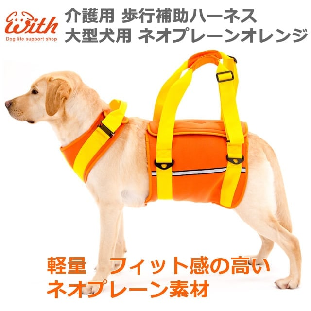 ϡͥ LaLaWalk緿ѡͥץ졼󡡥