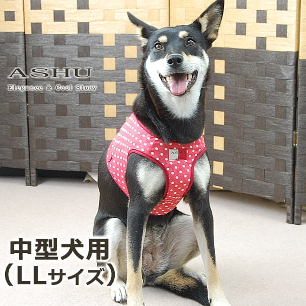 ASHUウェアハーネス 水玉 LLサイズ(中型犬用)