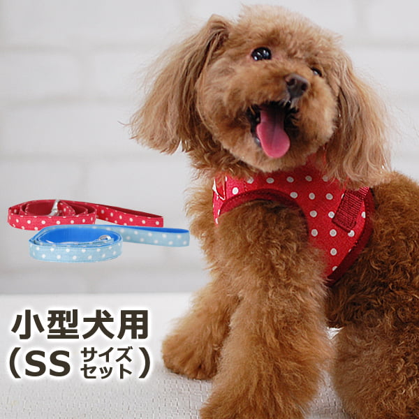 ASHUウェアハーネス水玉＆リードセット SSサイズ(超小型犬用)