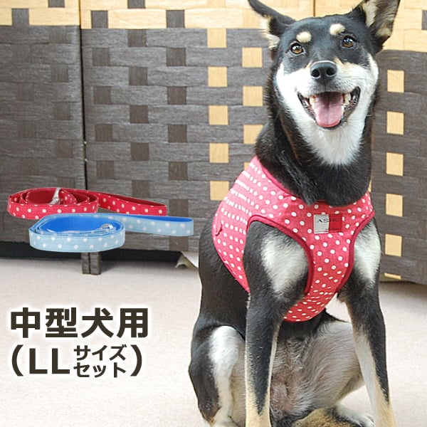 ASHUウェアハーネス水玉＆リードセット LLサイズ(中型犬用)