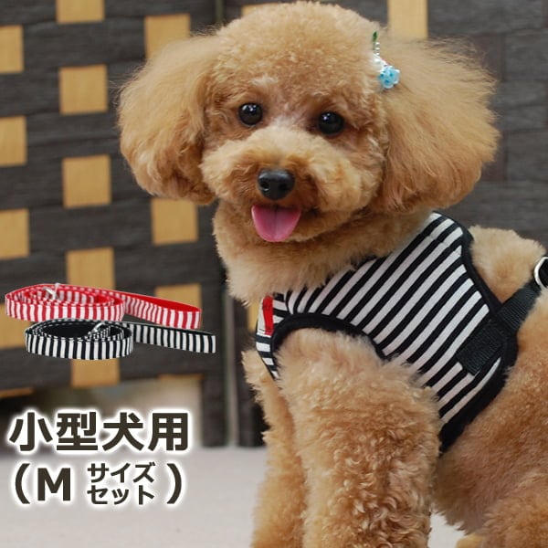犬用ハーネス・リードセット｜ASHU ウェアハーネスボーダー