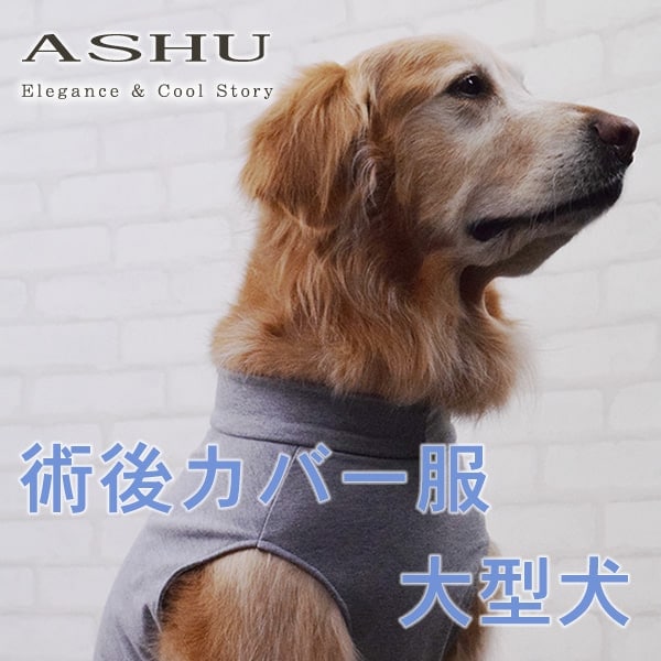 犬用　術後カバー服　大型犬用